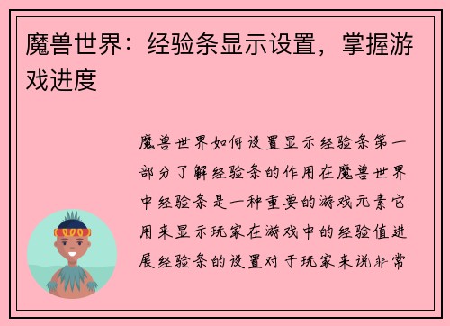 魔兽世界：经验条显示设置，掌握游戏进度